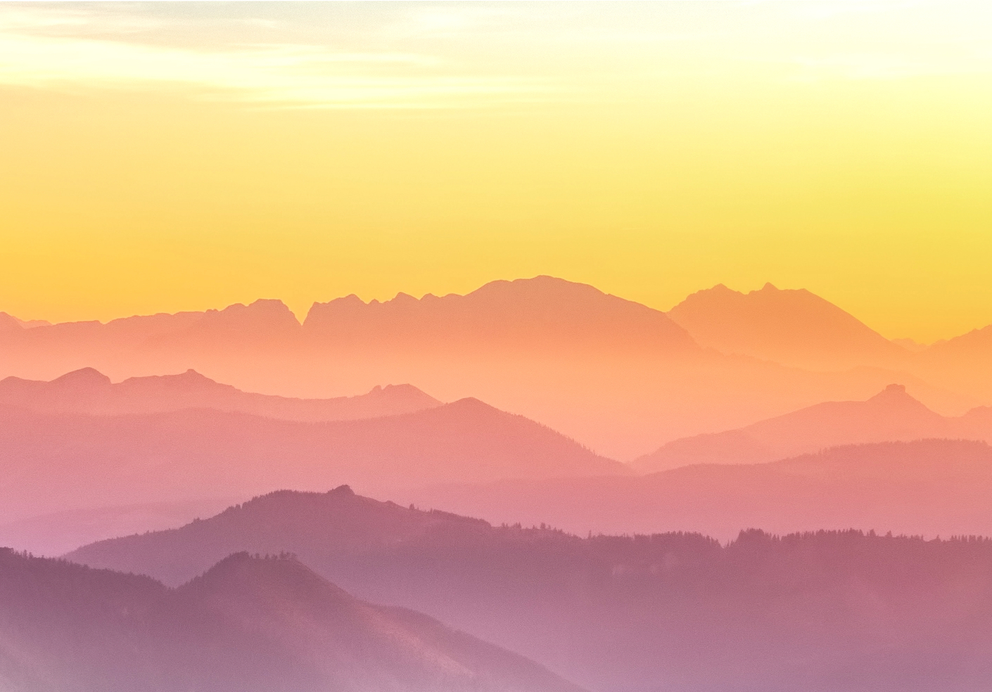 Psychische Gesundheit & Krisenmanagement 